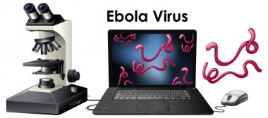 Virüs Ebola virüsü izole nesne yakın