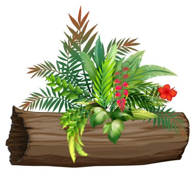 Beyaz arka planda cennet kuşu ve eğrelti otları