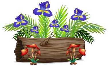 Beyaz arka planda iris çiçekler ve mantarlar