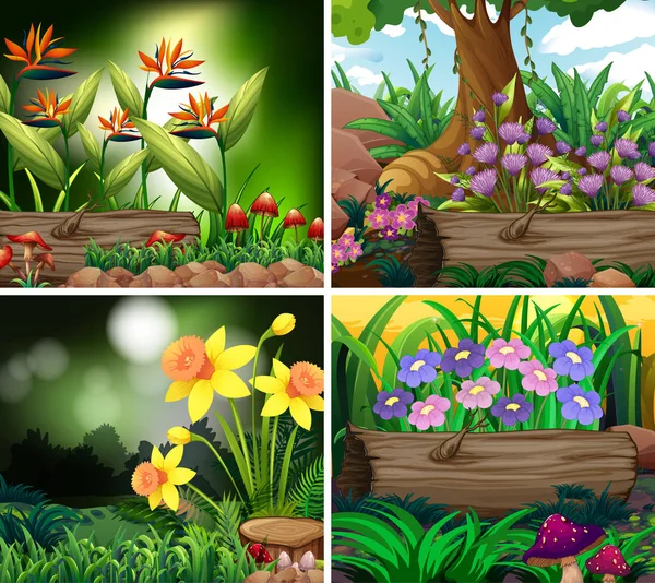 Set of background scene with nature theme — Stock Vector