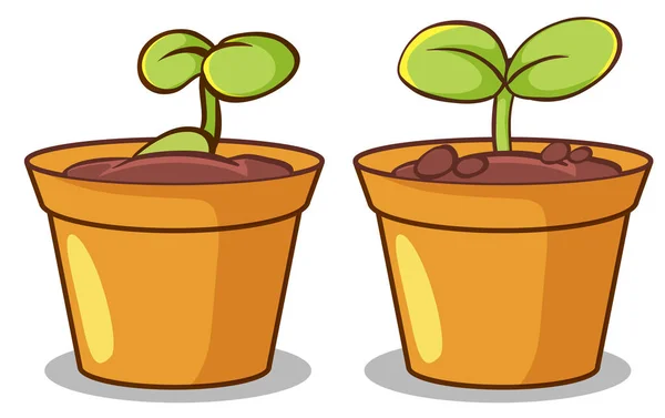 Deux pots de plantes sur fond blanc — Image vectorielle