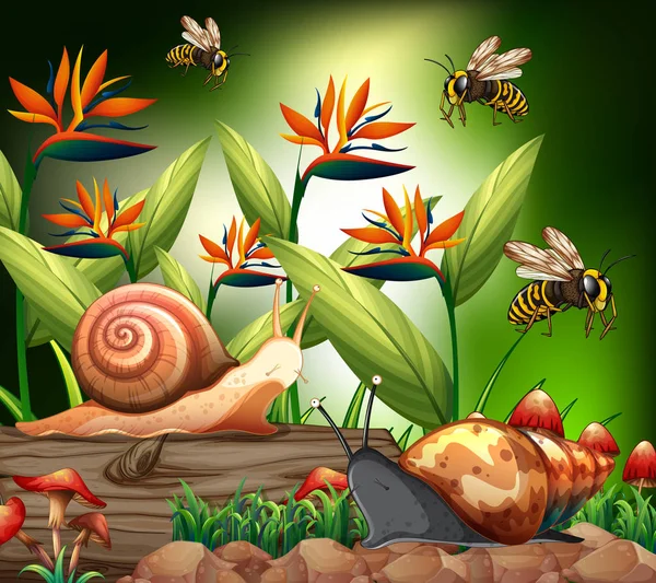 背景场景与蜜蜂和蜗牛在花园里 — 图库矢量图片