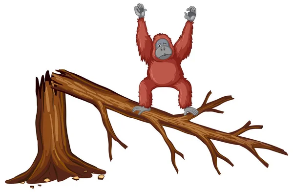 Monkey on broken branch — Stock Vector