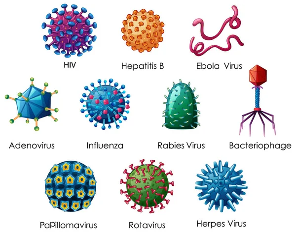 Primer plano objeto aislado de diferentes tipos de virus — Vector de stock