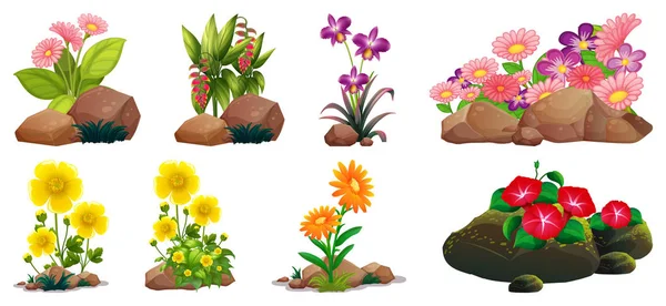 Große Menge bunter Blumen auf Felsen und Holz — Stockvektor