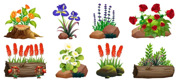 Grande conjunto de flores coloridas em rochas e madeira — Vetor de Stock