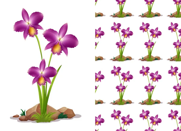 Bezproblémový design s květinami s orchidejí na skále — Stockový vektor