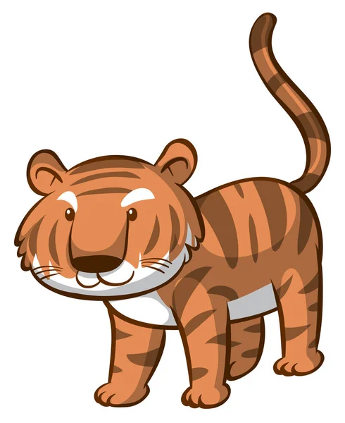 Tigre mignon sur fond blanc — Image vectorielle