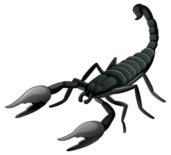 Черный скорпион на белом фоне — стоковый вектор