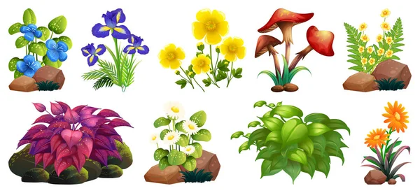 Kayalar ve ahşap üzerinde renkli çiçekler büyük set