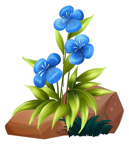 Блакитні квіти і каміння на білому тлі — стоковий вектор
