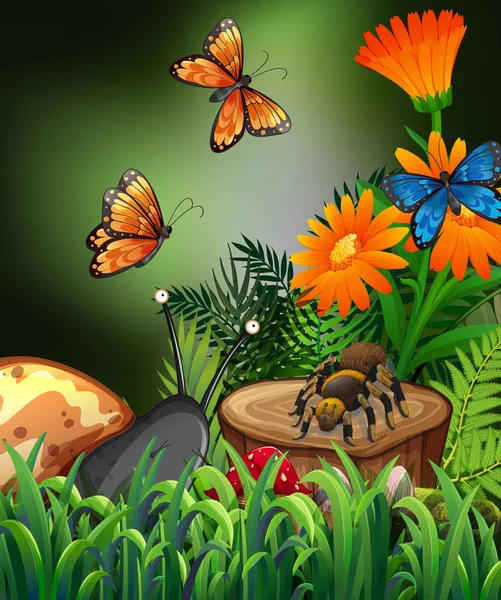 Nature scene with butterflies and spider in garden — Stock Vector
