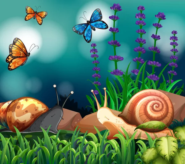 Background scene with snails and butterfly — Stock Vector