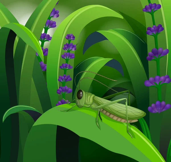 Nature scene with grasshopper on leaf — Stock Vector