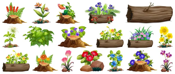 Large set of colorful flowers on rocks and wood — Stock Vector