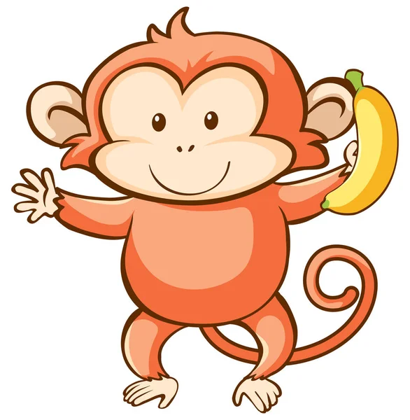 Singe et banane sur fond blanc — Image vectorielle