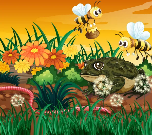 Background scene with bee and frog — Stock Vector