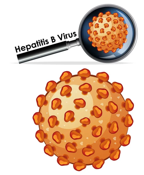 Menutup objek terisolasi virus Hepatitis B - Stok Vektor