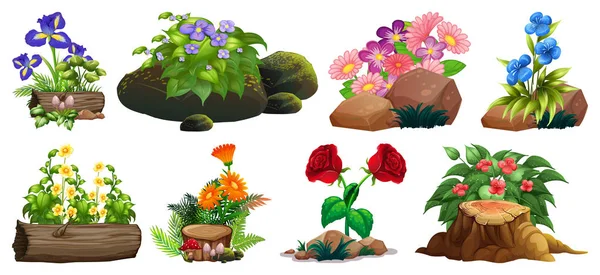 Μεγάλη σειρά από πολύχρωμα λουλούδια σε βράχους και ξύλο — Διανυσματικό Αρχείο