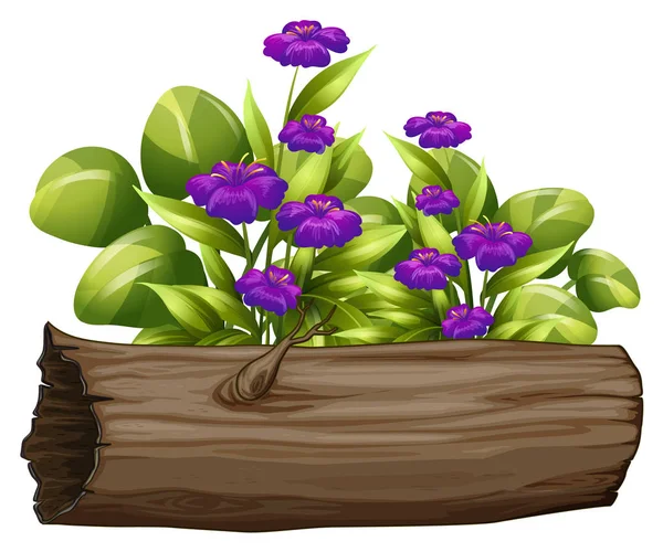 Little purple flowers on white background — Stock Vector