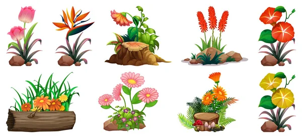 Μεγάλη σειρά από πολύχρωμα λουλούδια σε βράχους και ξύλο — Διανυσματικό Αρχείο