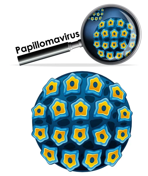 Close up objeto isolado do vírus Papillomavirus — Vetor de Stock