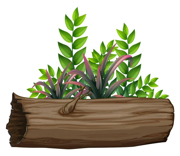 Green leaves and log on white background — Stock Vector