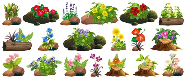 Large set of colorful flowers on rocks and wood — Stock Vector