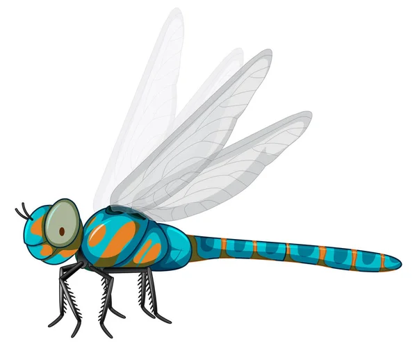 Blaue Libelle auf weißem Hintergrund — Stockvektor