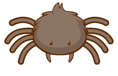 Beyaz arka planda sevimli örümcek