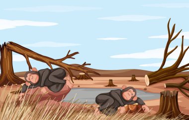 İki maymunile ormansızlaşma sahnesi