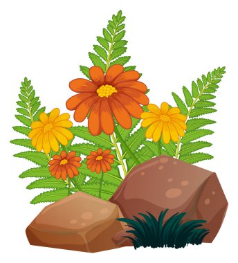 Beyaz arka planda çiçekler ve eğrelti otları