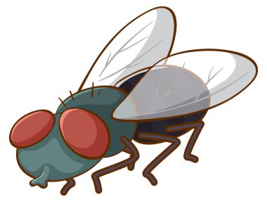 beyaz arkaplanda uç