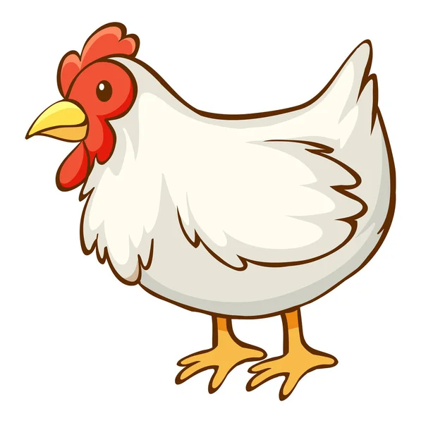 Pollo bianco su sfondo bianco — Vettoriale Stock