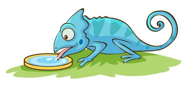 Chameleon licking water on white background — Stock Vector