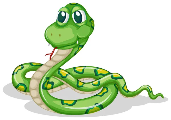 Serpiente verde sobre fondo blanco — Vector de stock