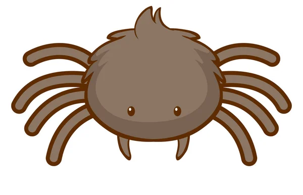 Roztomilý pavouk na bílém pozadí — Stockový vektor