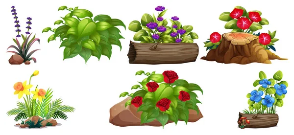 Large set of colorful flowers on rocks and wood — Stock Vector