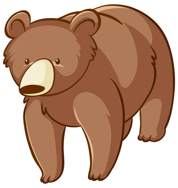 Urso marrom em fundo branco —  Vetores de Stock
