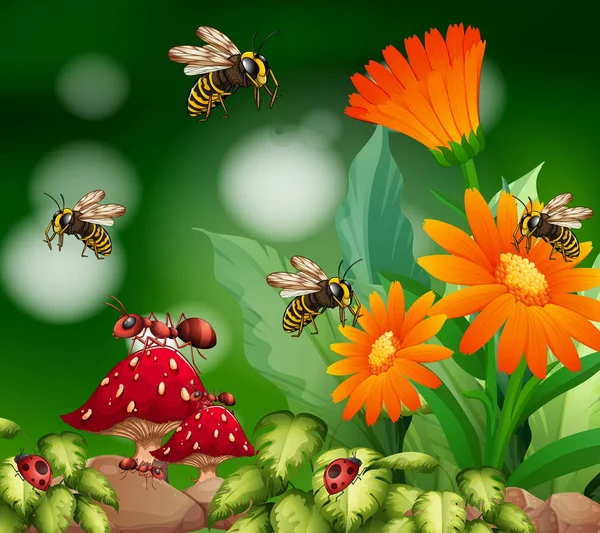 Escena de fondo con insectos en el jardín — Vector de stock