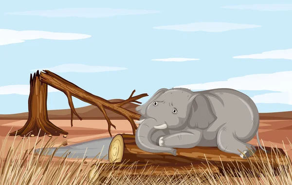 Cena de desmatamento com elefante moribundo — Vetor de Stock