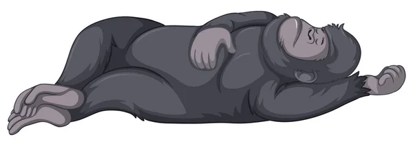 Gorilla นอนบนพื้นหลังสีขาว — ภาพเวกเตอร์สต็อก