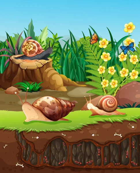 Scène de nature avec des escargots rampant dans le jardin — Image vectorielle