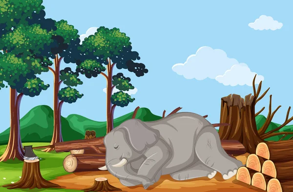 Escena de deforestación con elefante muriendo — Vector de stock