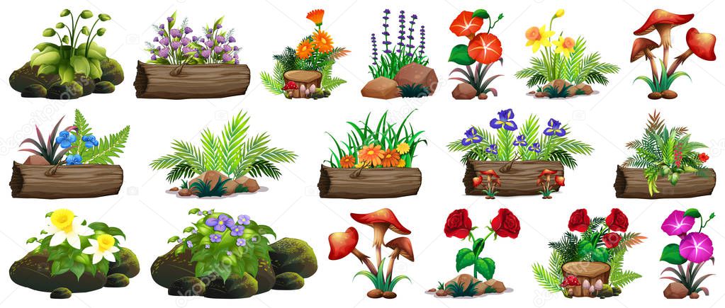 Large set of colorful flowers on rocks and wood