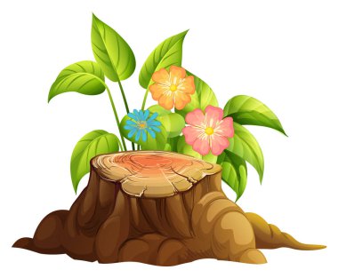 Beyaz arka planda renkli çiçekler ve kütük ahşap