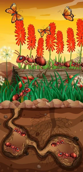 Nature scene with butterflies and ants in garden — Stock Vector