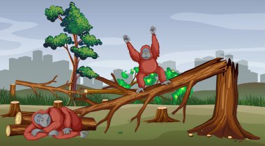 Maymun ölürken ormansızlaşma sahnesi