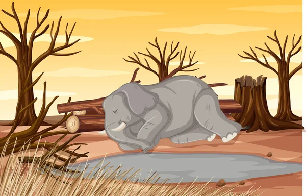 코끼리와 가뭄으로 오염 방지책 현장 — 스톡 벡터