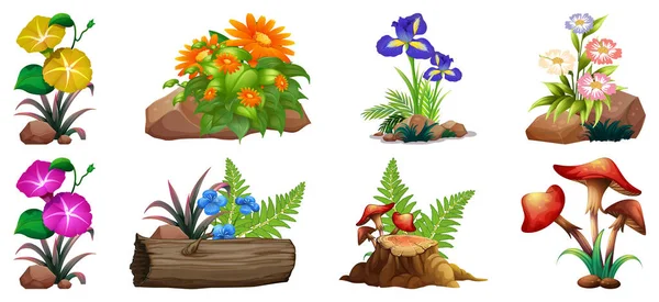 Large set of colorful flowers on rocks and wood — Stock Vector